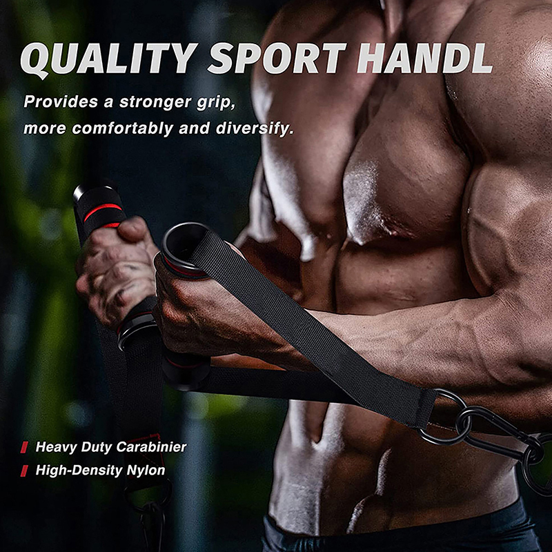 1Set D-Ring Metal Gym Handles  - огляд і ціна D Ring Strap